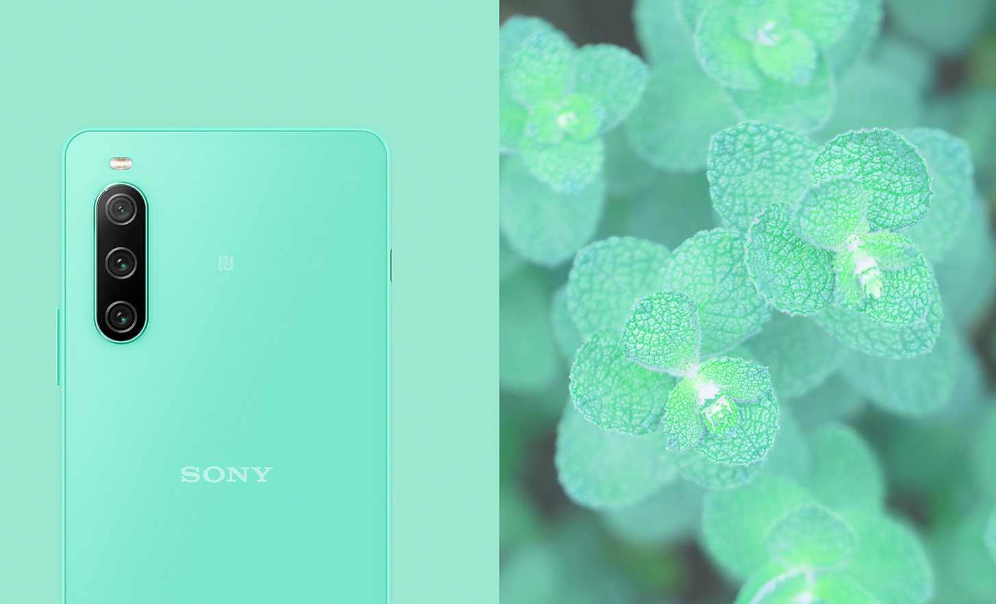 The Xperia 10 IV in mint alongside an image of mint leaves
