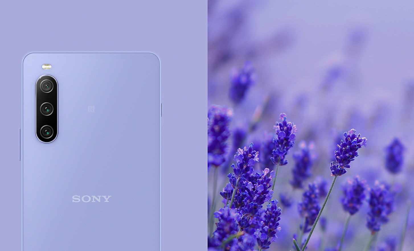 The Xperia 10 IV in lavender alongside an image of lavender flowers