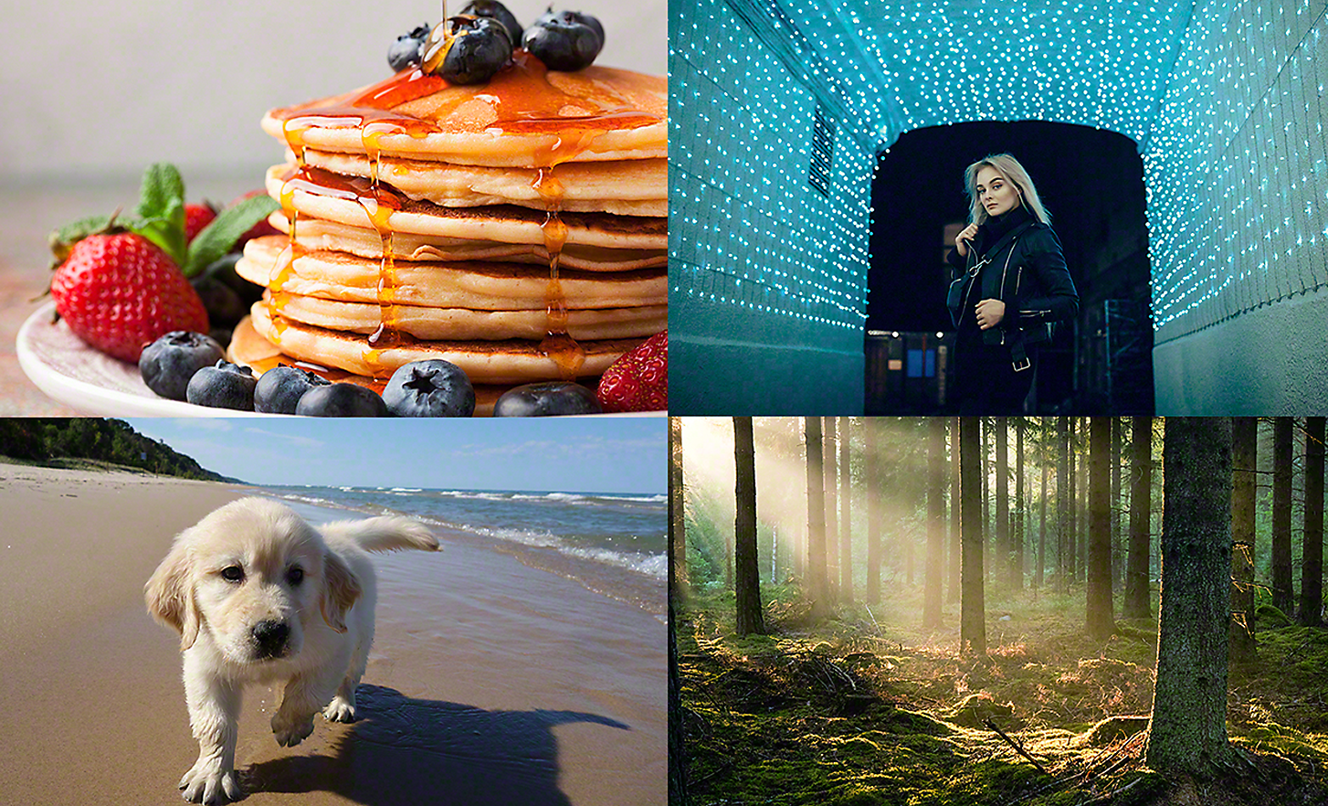 Samengestelde afbeelding met een foto van eten, een nachtportret, een foto van een huisdier en een foto van een bos met tegenlichtcorrectie