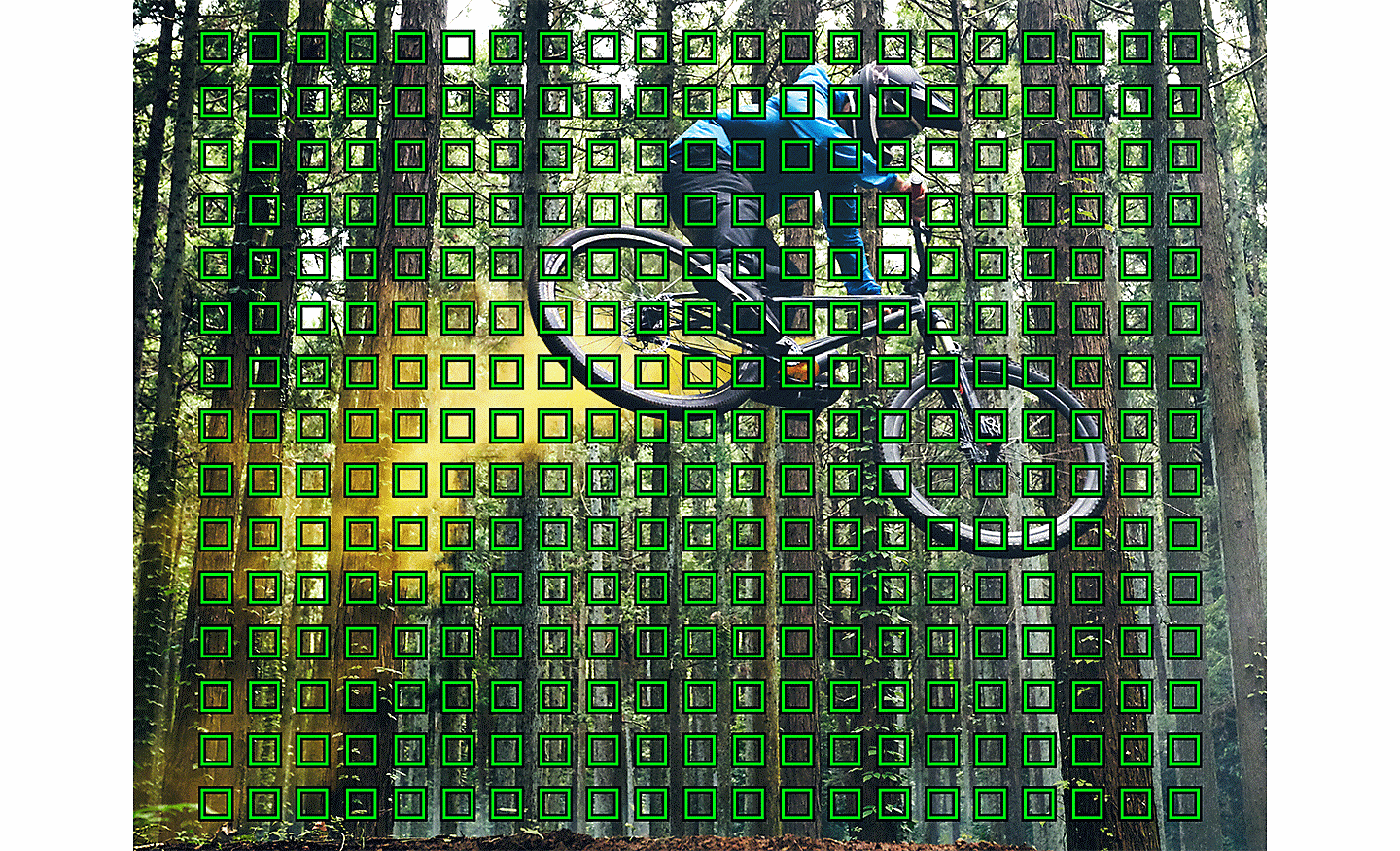 Hình ảnh một người đi xe đạp leo núi trong rừng, với nhiều ô vuông màu xanh lá thể hiện các điểm lấy nét tự động chồng lên trên
