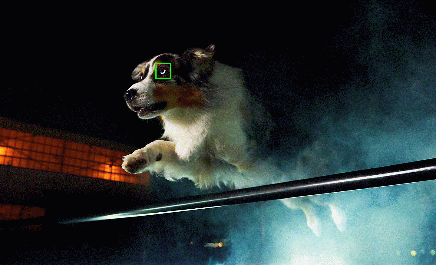 Fotografia skákajúceho psa so zeleným bodom automatického zaostrovania na oku zachytená pri slabom svetle
