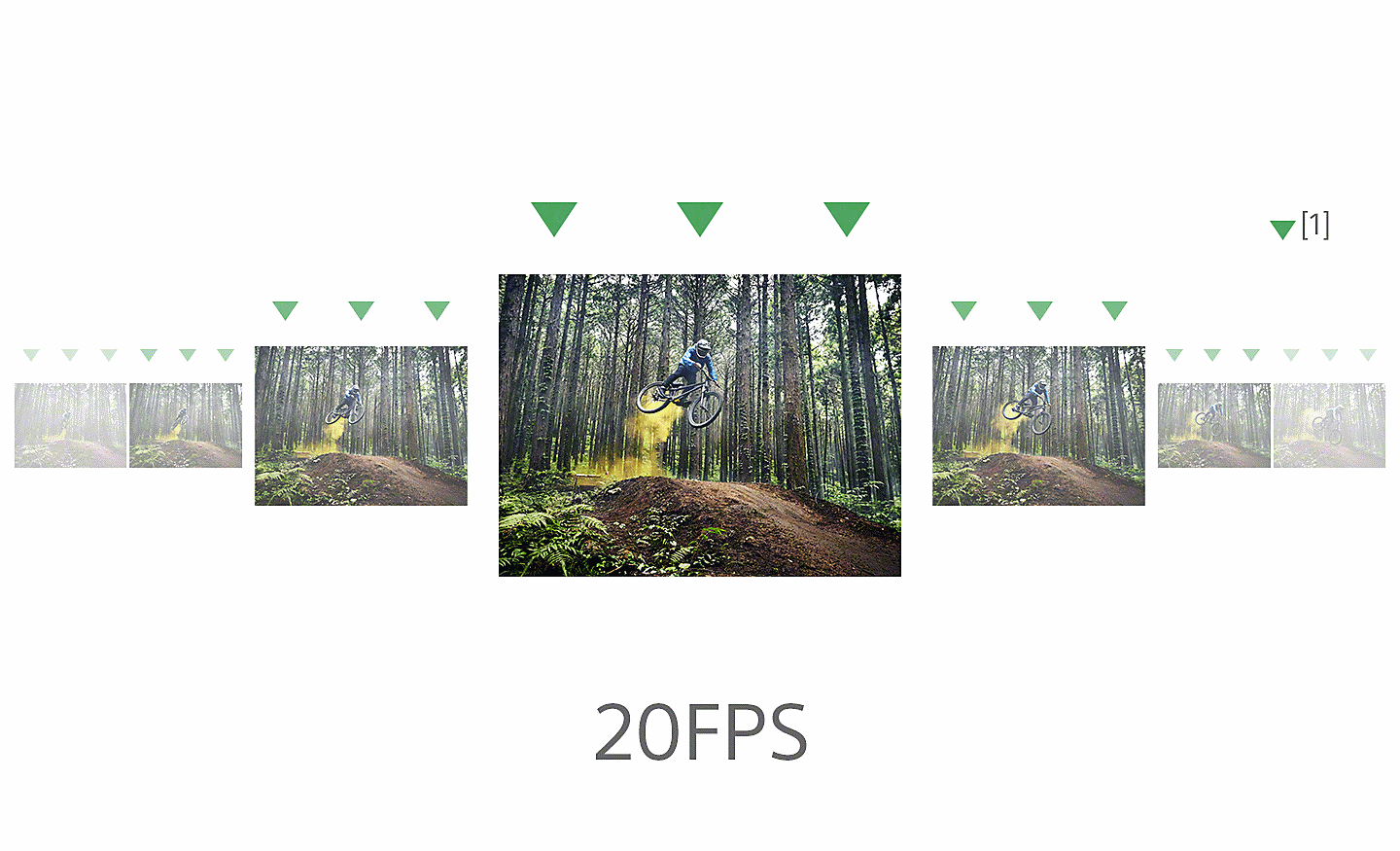 Nhiều khung hình cho thấy một người đi xe đạp leo núi đang cho xe nhảy trên con đường mòn trong rừng