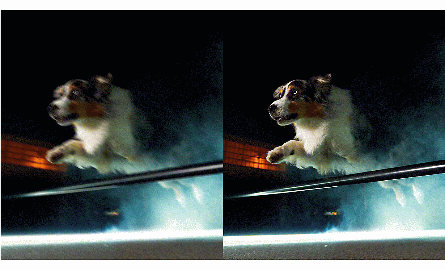 Two images of leaping dog, one blurred, one sharp.