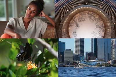 Imagen del destino del vínculo