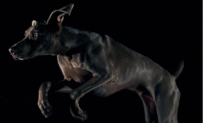 用 125 毫米鏡頭拍攝的人像：體操運動員，一隻眼睛上方的綠色方格代表實時眼睛自動對焦