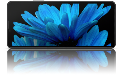 Xperia 10 IV в альбомной ориентации с фотографией голубого цветка на дисплее.