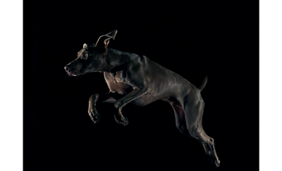 一位身穿紅色連衣裙女士的低光 125 毫米遠攝人像照，背景為城市景觀