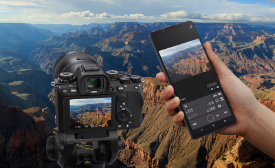 顯示 Xperia 1 IV 專用快門按鈕的細節