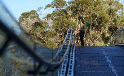Fotos de muestra de sujetos reconocibles: leopardo, pájaro, avión, auto, tren y mariposa.