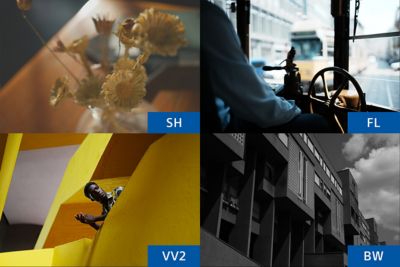 Imágenes de ejemplo de Aspecto creativo: SH, FL, VV2, BW