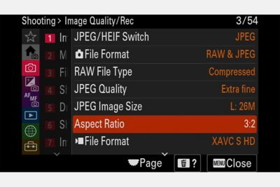 Imagen de dos pájaros