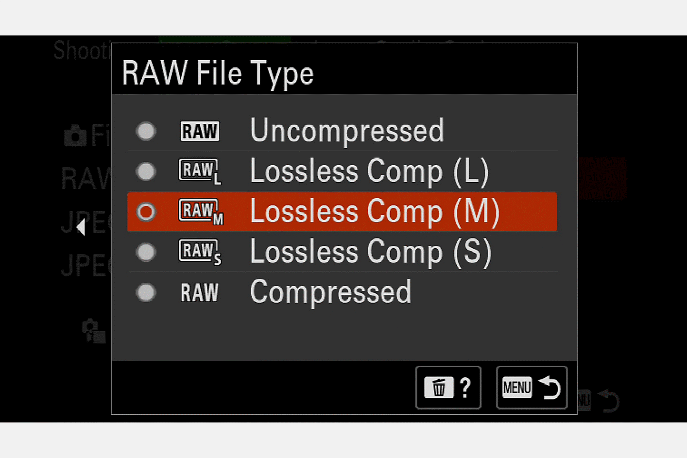 Snímek displeje fotoaparátu se zobrazením nabídky pro výběr typu souboru RAW