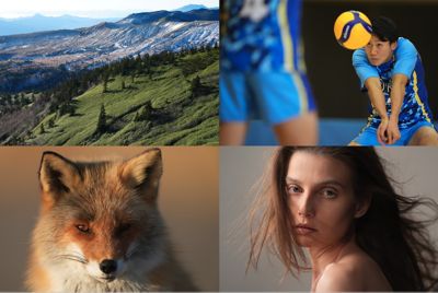 4 different type of image subject