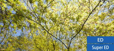 Minimal aberration enhances sharpness