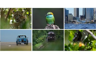 Foto de una mujer caminando en la calle