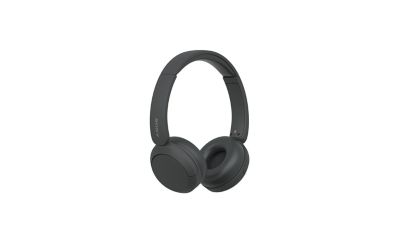 Buy SONY WH-CH520 Bluetooth Headphone with Mic (30mm Driver, On Ear, Taupe)  Online - Croma