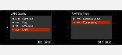 Selectable RAW image sizes and quality