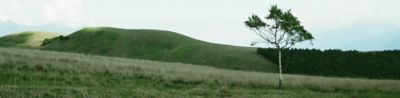 Photo of a natural landscape