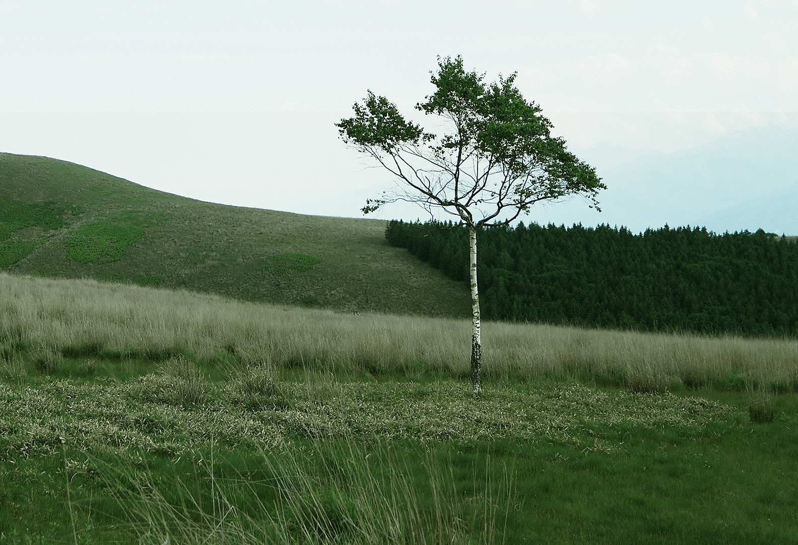 Φωτογραφία ενός φυσικού τοπίου