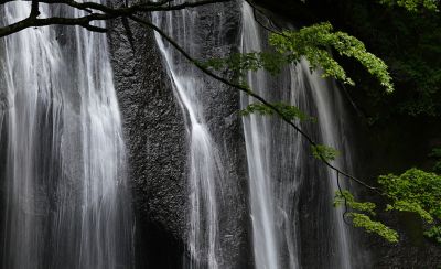 Image of a waterfall and trees