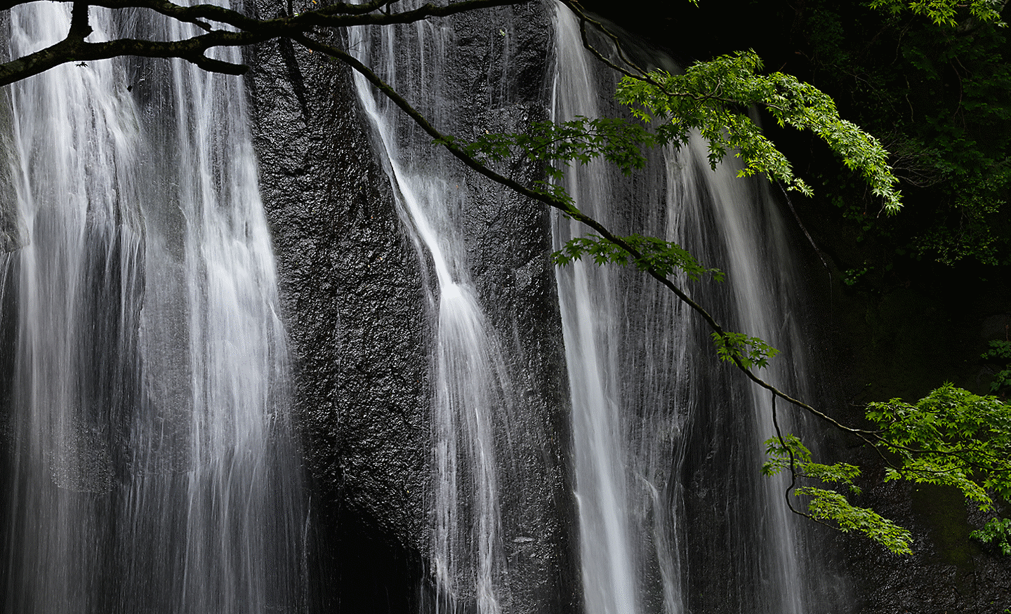 Imagen de una cascada y árboles