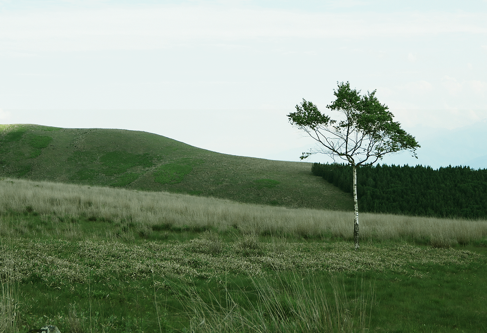 Image de paysage naturel