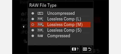 Selectable RAW image sizes and quality