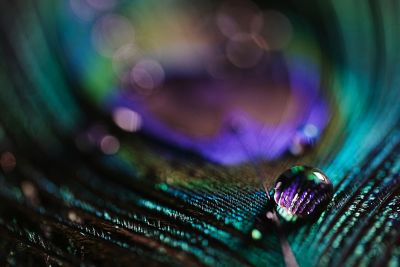 Image of water droplet on a peacock feather in VV2 (Vivid2) mode.