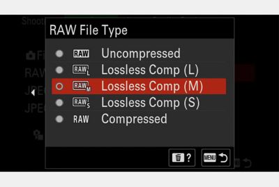 Image de l'affichage du menu permettant de sélectionner le type de fichier RAW