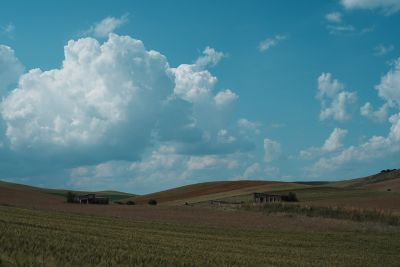 Image of clouds above a grass landscape in FL (Film) mode.