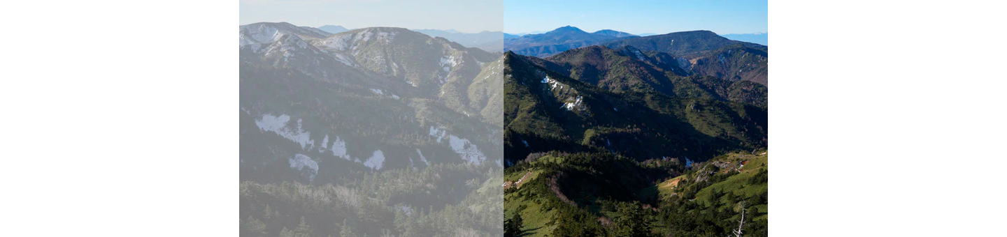 S-Log cho khả năng khớp màu với thiết bị ghi hình chuyên nghiệp