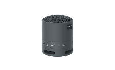 ENCEINTE BLUETOOTH PORTABLE SRS-XB100 GRIS