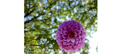 Artistic natural bokeh effects