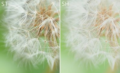 Image of dandelion fluff close-up, displayed for comparison, with the left in ST mode and the right in SH mode