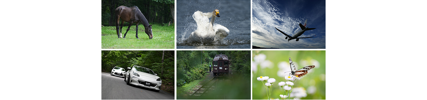 Tính năng lấy nét tự động nhận dạng trong thời gian thực mở rộng cho nhiều chủ thể hơn