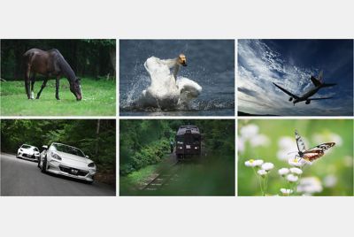 Six images of horse, airplane, bird, cars, train and butterfly