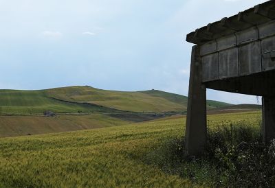 Example image of a meadow