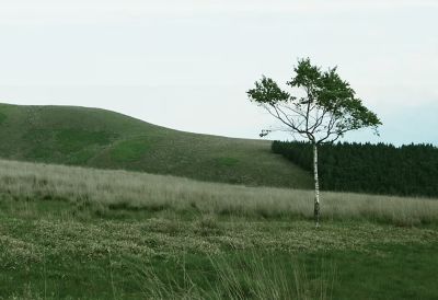 Imagen de un paisaje