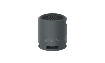 Enceinte portable srs-xb100 gris perle Sony