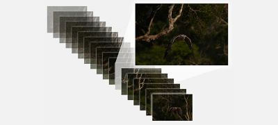 Shoot more than 1000 images at high speed