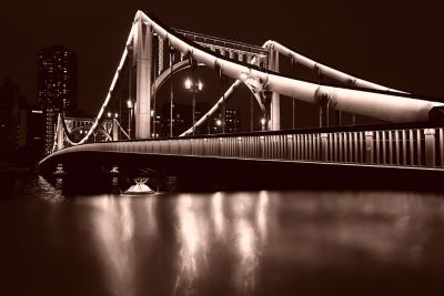 Image of an illuminated bridge over a river in SE (Sepia) mode.