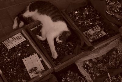 Image of cat lying on accessories for sale in SE (Sepia) mode.