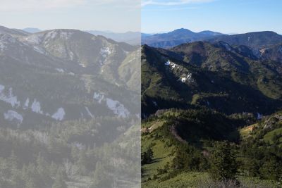 Vodoravna slika na kojoj je jedna polovica niskog, a druga visokog kontrasta