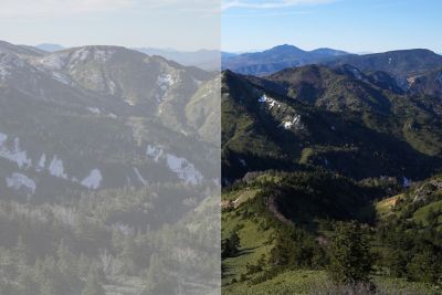 一半展示低對比度風景影像，而另一半展示高對比度風景影像