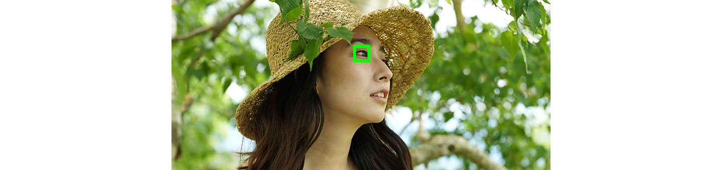 Lấy nét tự động theo ánh mắt trong thời gian thực và Theo dõi trong thời gian thực dựa trên công nghệ AI