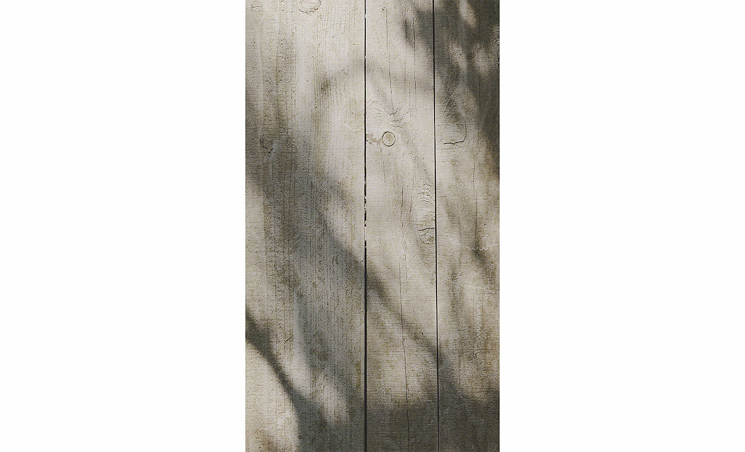 Image of wooden planks with a shadow from a tree on them