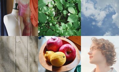 A montage of various images, including thick foliage, the sky, a fruit bowl, wooden planks and a mannequin