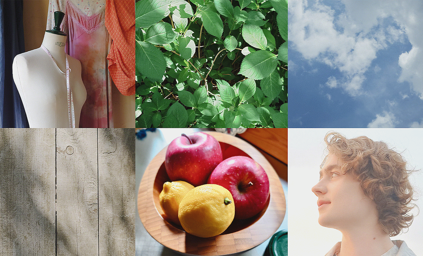 Un montage de plusieurs images, incluant un feuillage épais, le ciel, une coupe de fruit, des planches en bois et un mannequin