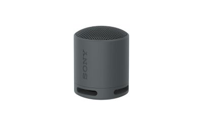 Sony SRS-XB100 Ab 30,99 € (Dezember 2025 Preise