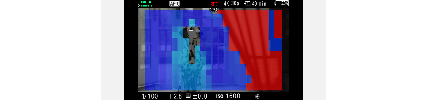 Được thiết kế cho quy trình làm phim mượt mà